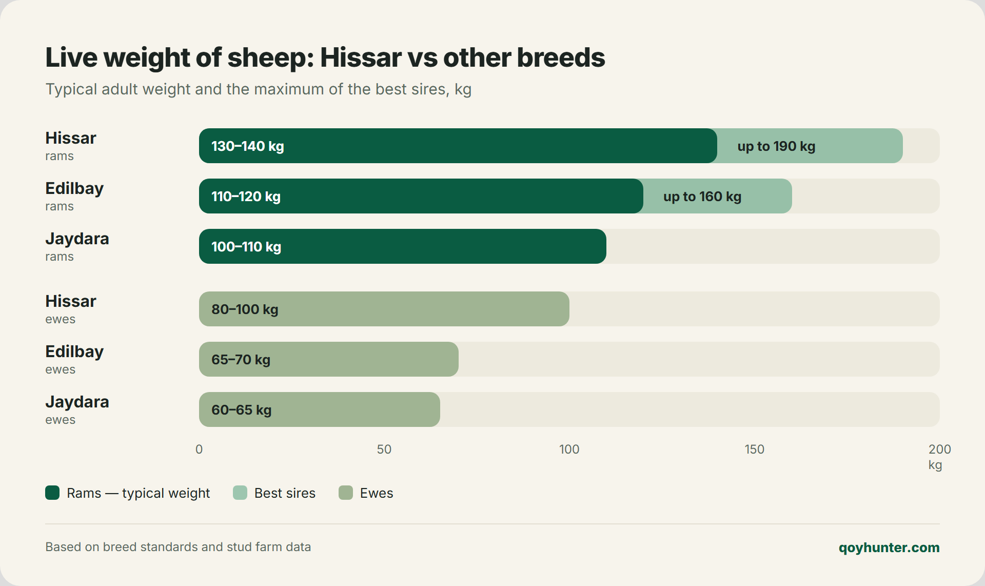 Live weight comparison: Hissar, Edilbay, Jaydara sheep