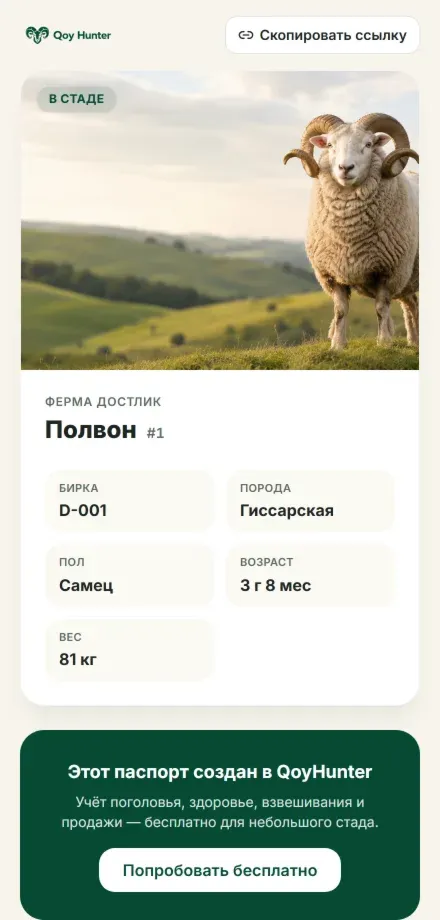 Публичный паспорт животного: фото барана, кличка, хозяйство, бирка, порода, пол, возраст и вес