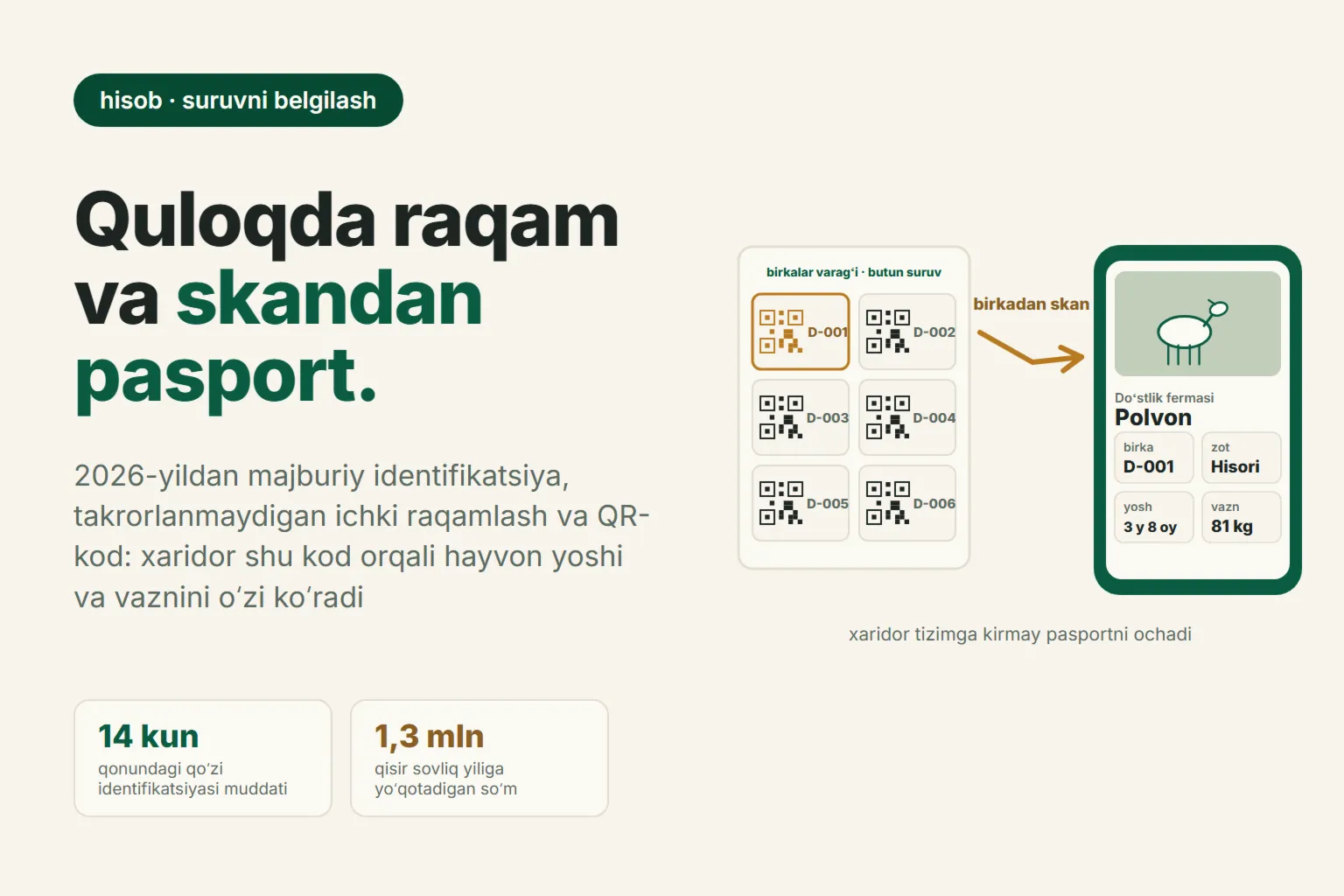 2026-yilda qoʻylarni qanday belgilash kerak: majburiy identifikatsiya, quloq birkalari va hayvon pasporti bilan QR-kod