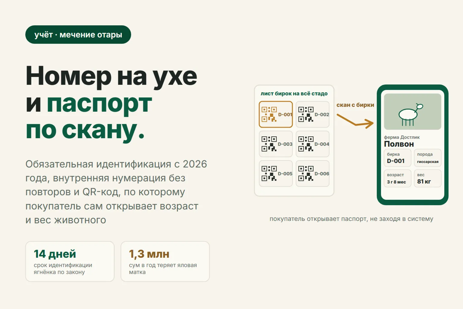 Как метить овец в 2026 году: обязательная идентификация, ушные бирки и QR-код с паспортом животного