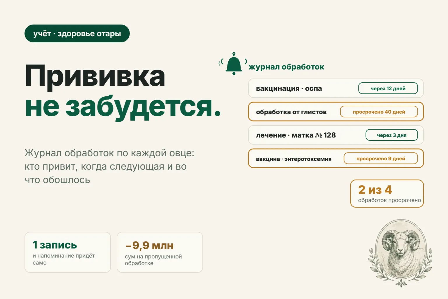 Как вести учёт прививок и обработок овец: журнал, сроки и цена пропущенной вакцинации