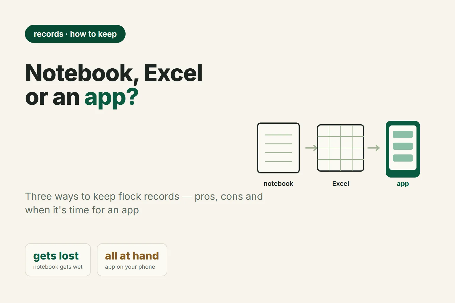 How to Keep Sheep Records: Notebook, Excel, or Software