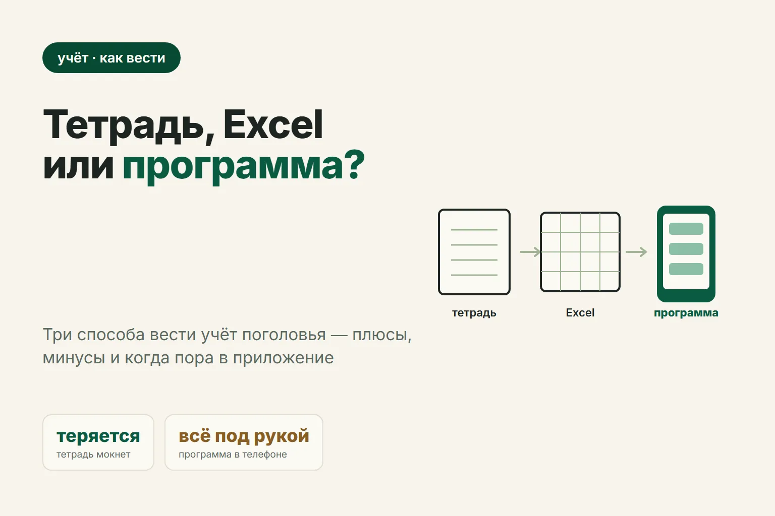 Как вести учёт овец: тетрадь, Excel или программа