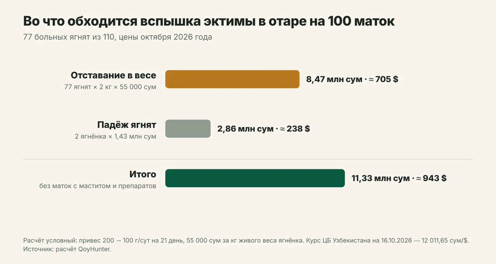 Во что обходится вспышка эктимы в отаре на 100 маток