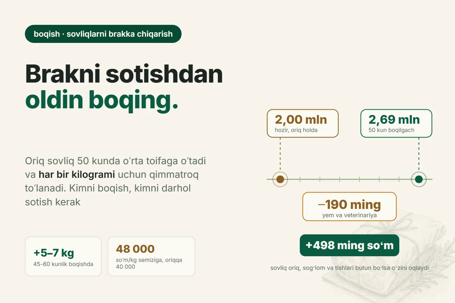 Sotishdan oldin brakka chiqarilgan sovliqni boqish: necha kun ushlab turish, nima bilan boqish va kimni darhol topshirish kerak