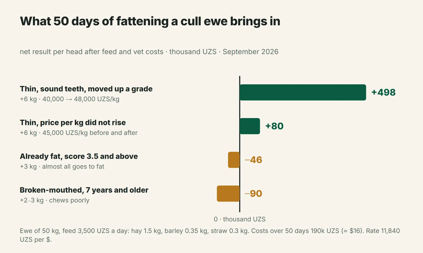 When fattening a cull ewe pays off