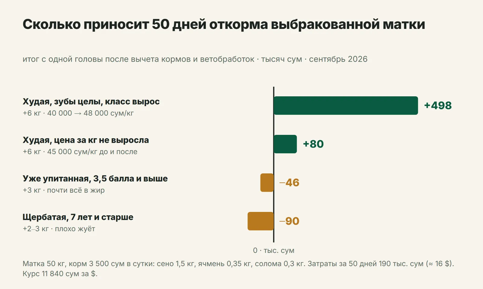 Когда откорм выбракованной матки окупается