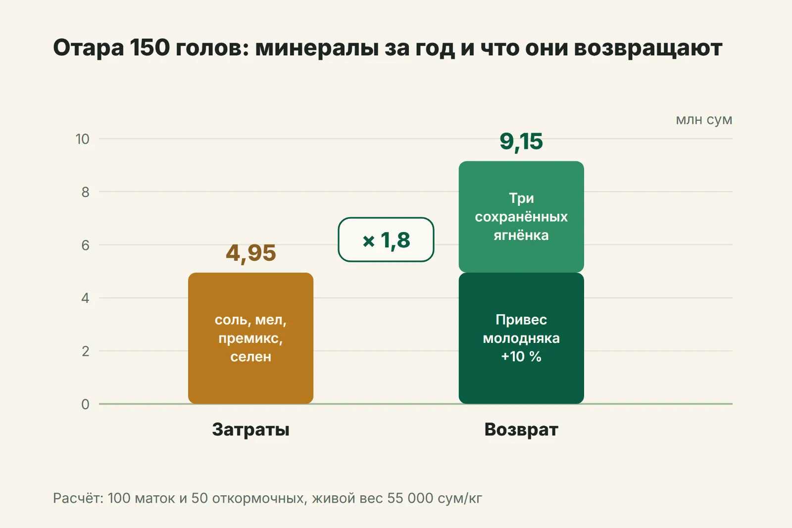 Отара 150 голов: годовые затраты на минералы и возврат