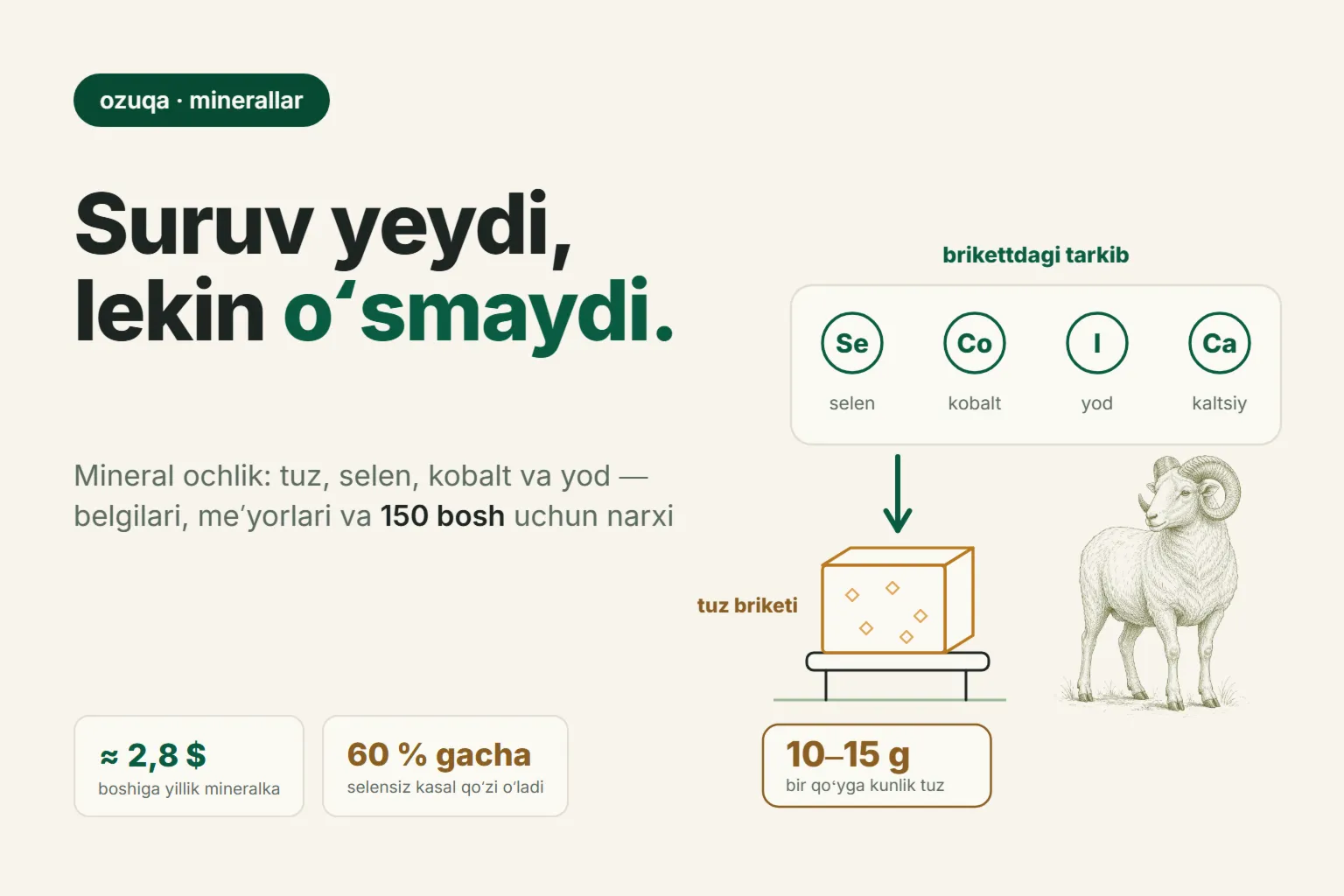 Qoʻylarga mineral ozuqa: tuz, selen, kobalt — yetishmaslik belgilari va narxi