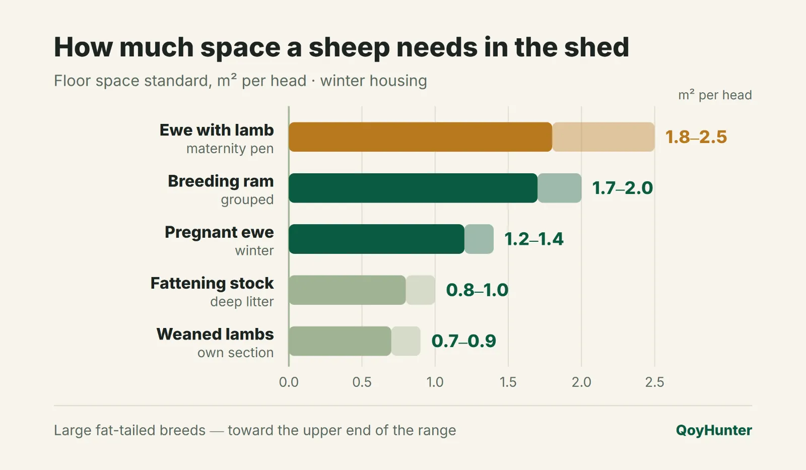 How much space a sheep needs in the shed