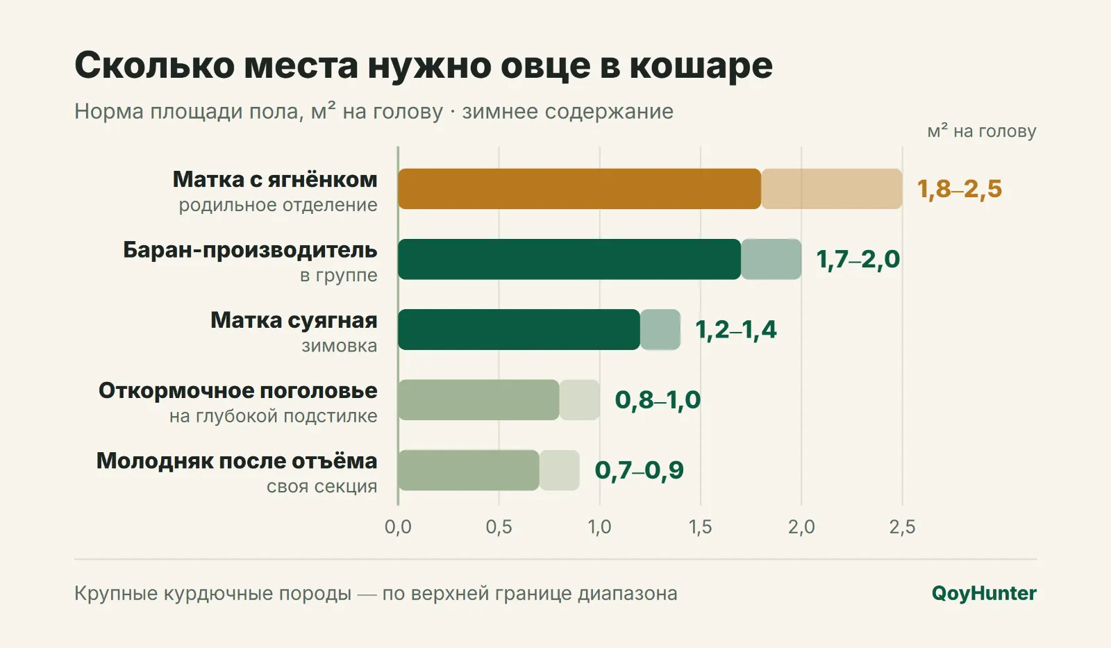 Сколько места нужно овце в кошаре
