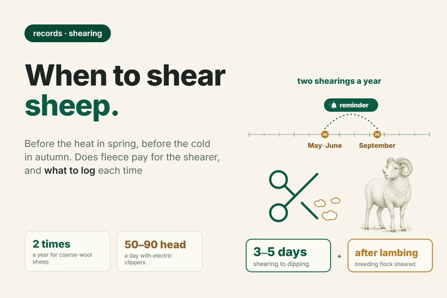 When to Shear Sheep in Spring and Autumn: Timing, Flock Prep, and Tracking Shearing Costs