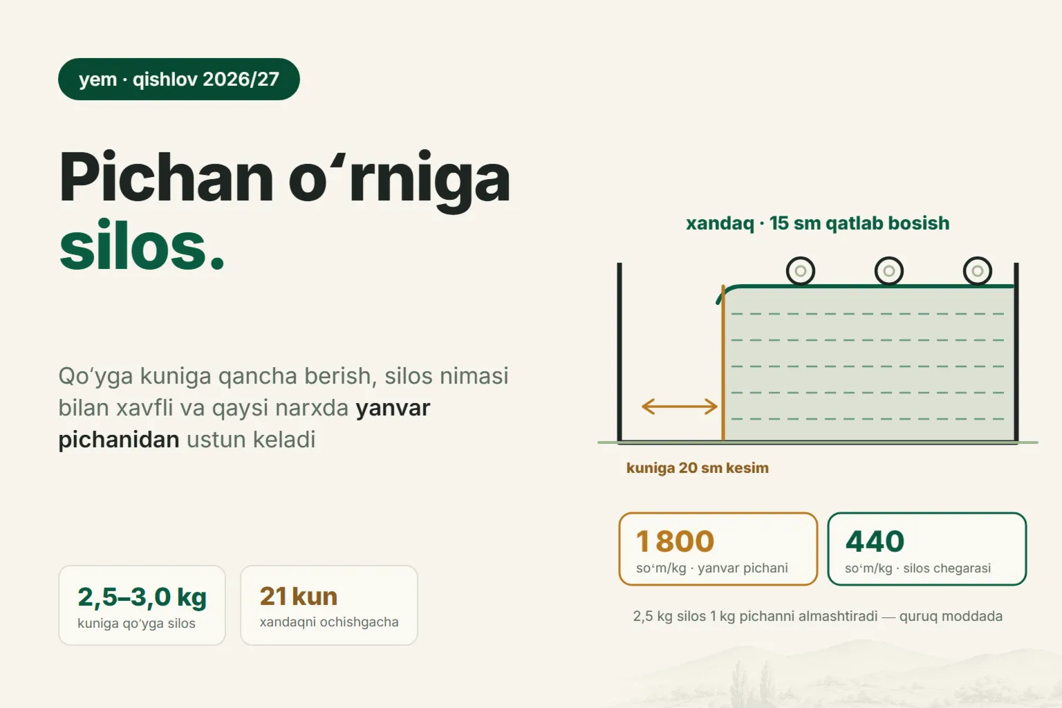 Qoʻylar uchun silos: kuniga qancha berish, nimasi bilan xavfli va qachon pichandan arzon