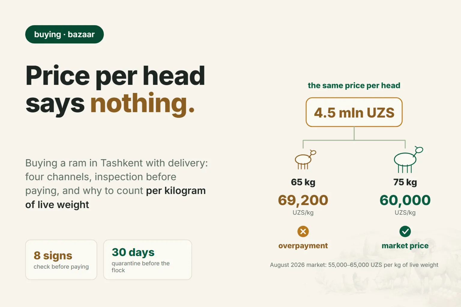 Buying a Ram in Tashkent With Delivery in 2026: Where to Look and What to Check Before You Pay