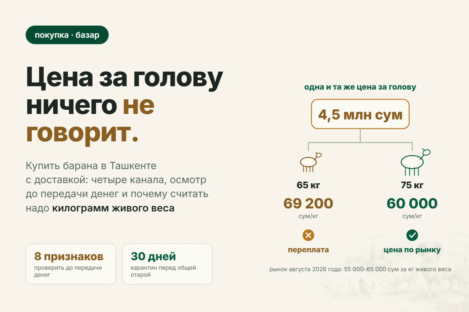 Купить барана в Ташкенте с доставкой в 2026 году: где искать и что проверить до передачи денег