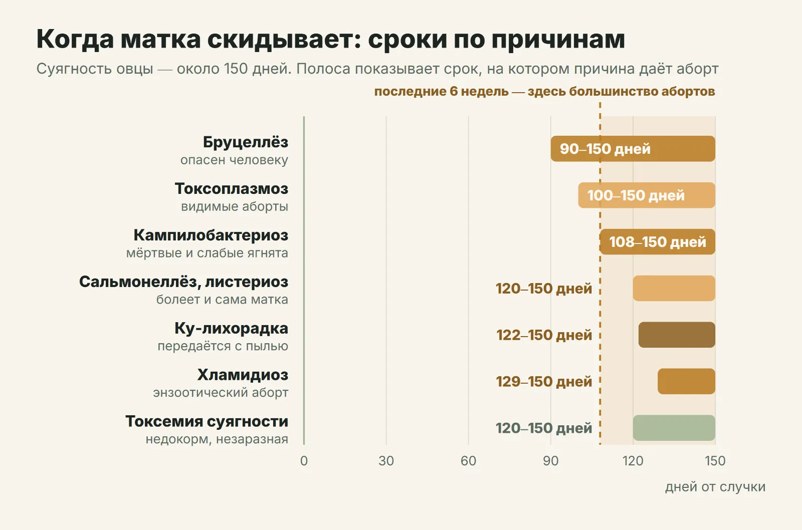 Когда матка скидывает: сроки по причинам