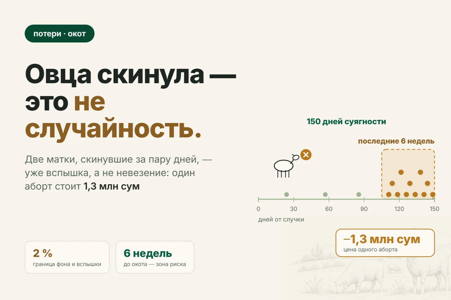 Овца скинула ягнёнка: почему матки абортируют и что делать в первые часы