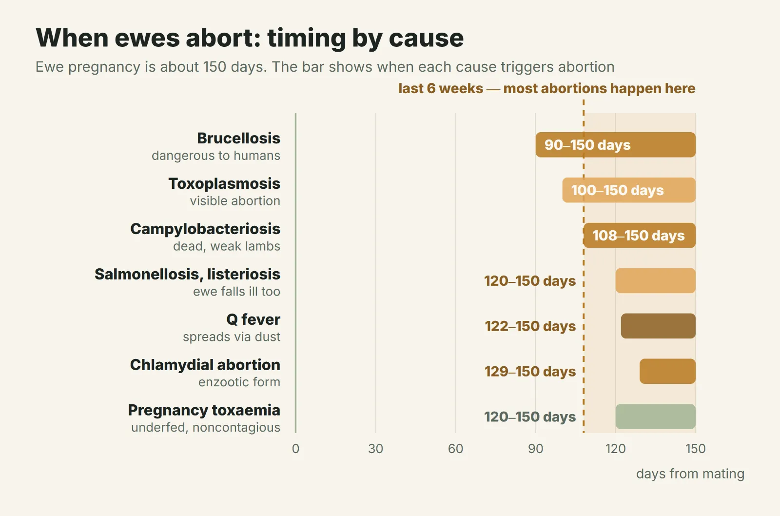 When ewes abort: timing by cause
