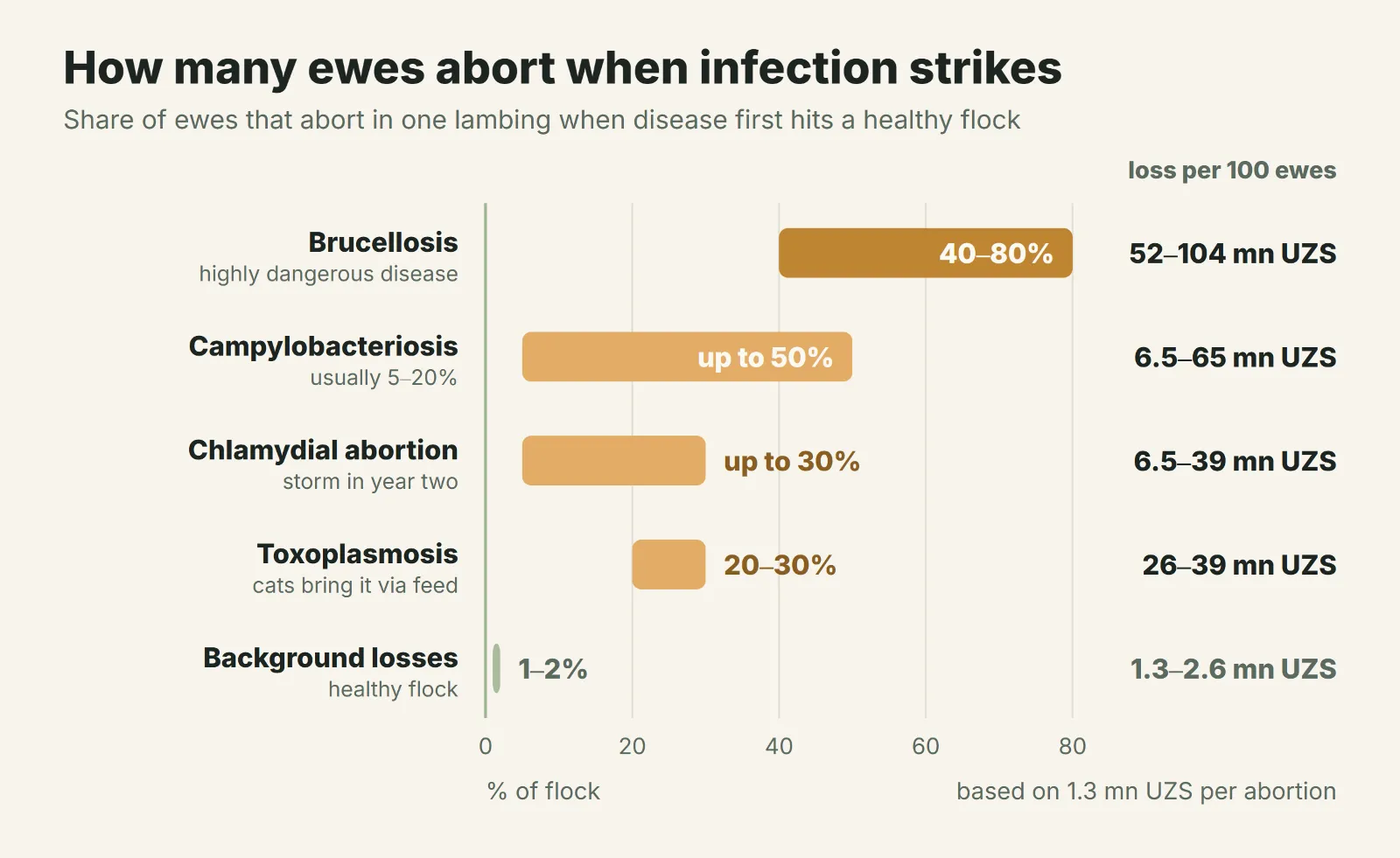 How many ewes abort when infection strikes