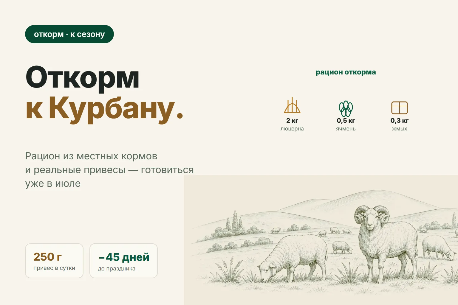 Чем кормить баранов для набора веса: рацион откорма и подготовка к зиме уже в июле