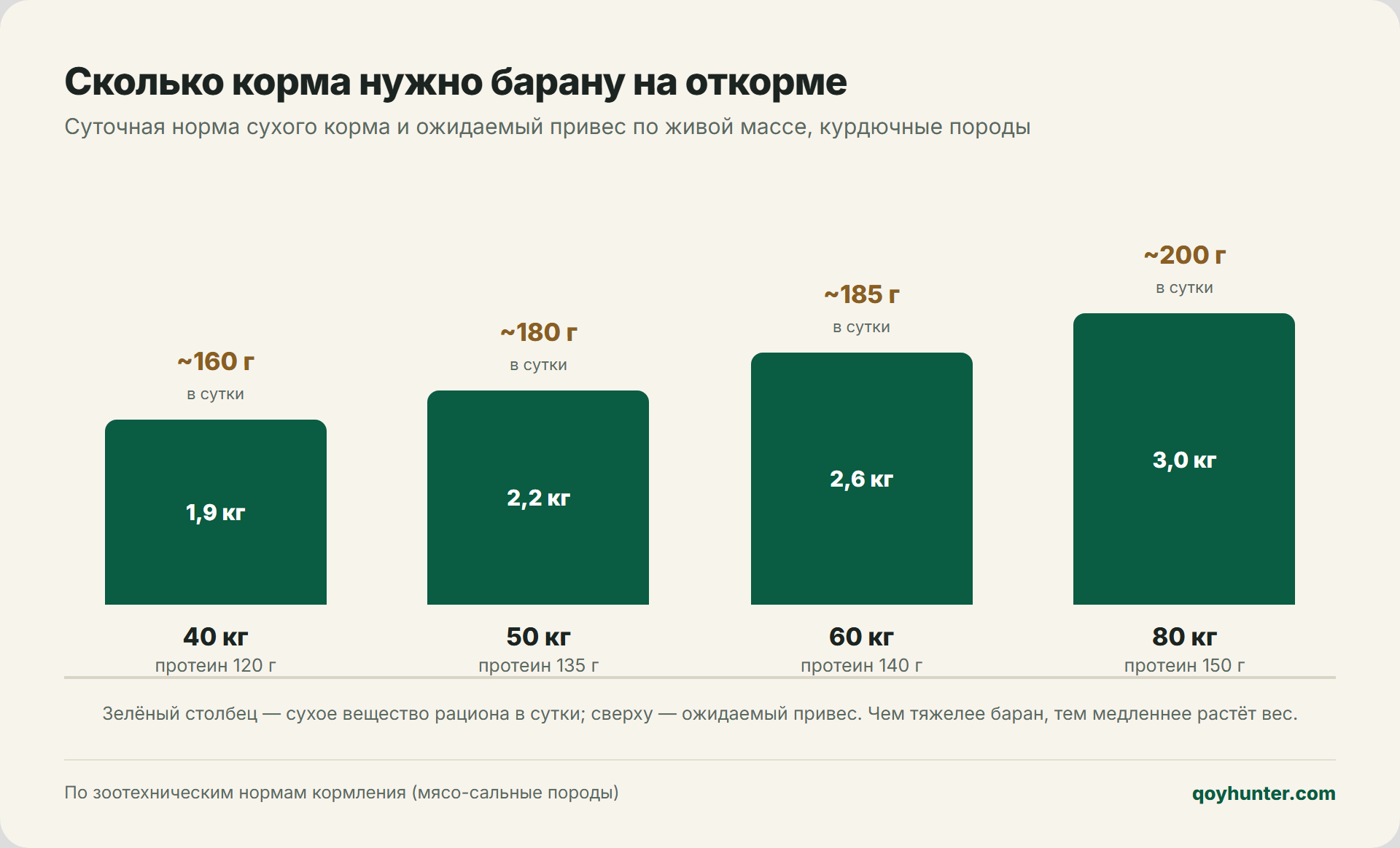 Нормы кормления барана на откорме по живой массе