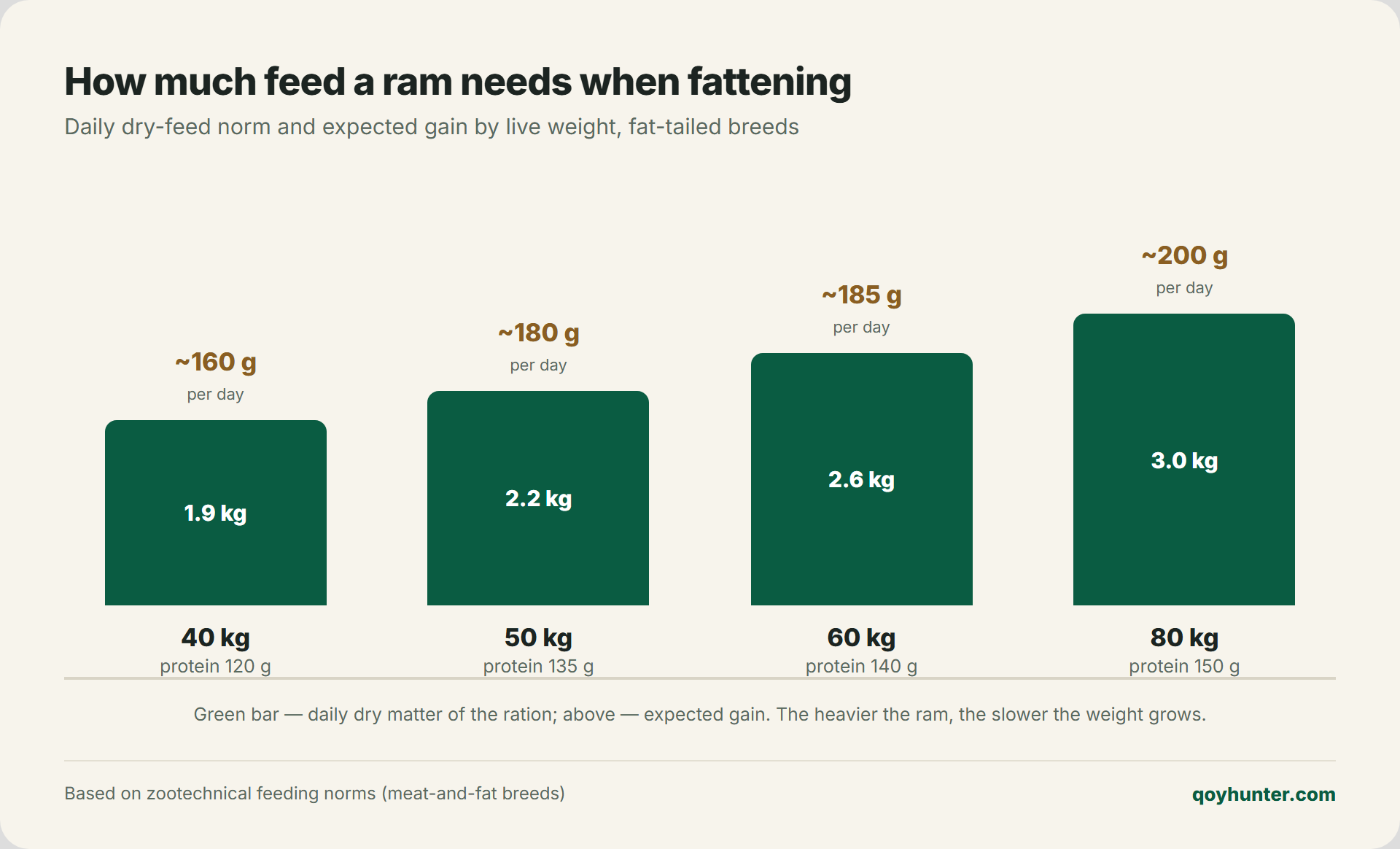 Ram fattening feed norms by live weight