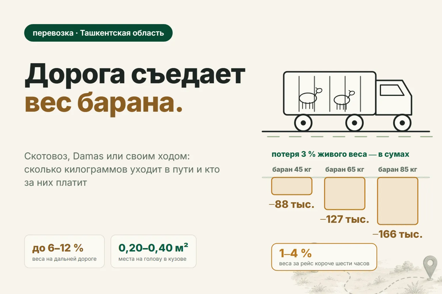 Доставка баранов по Ташкенту и области: чем везти и сколько веса теряется в дороге