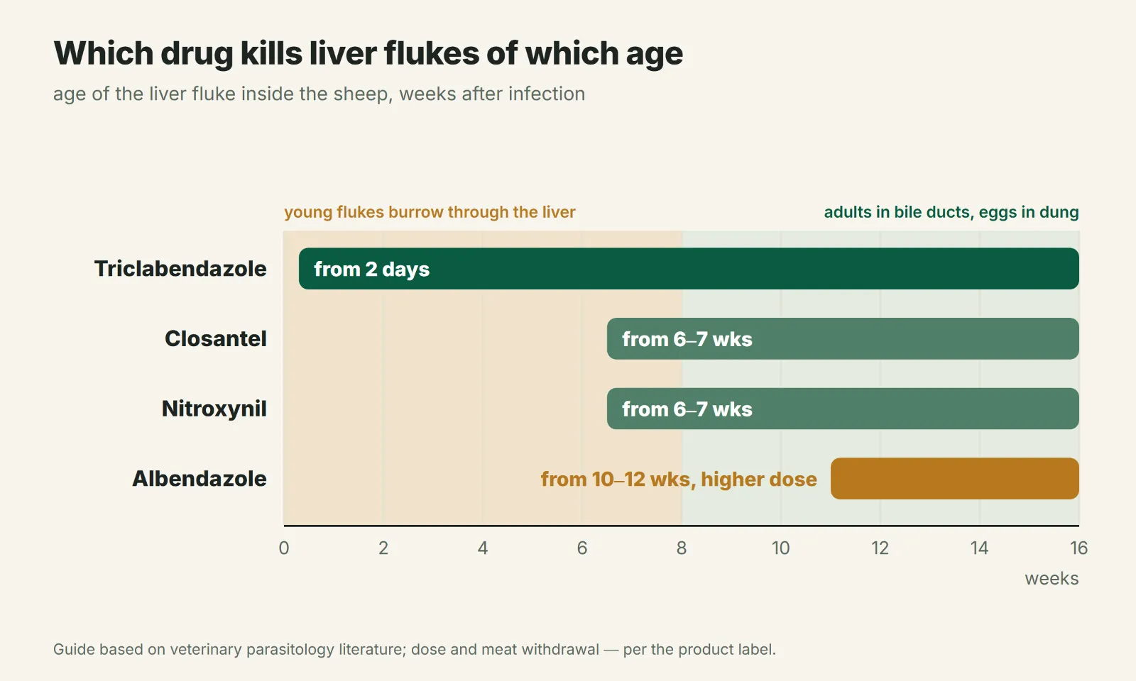 Which fasciolosis drug kills flukes of which age