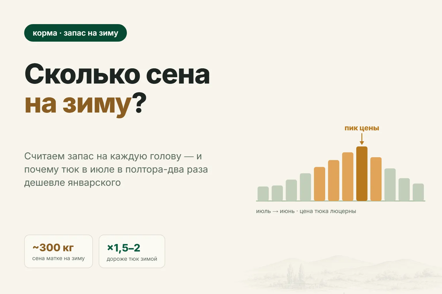 Сколько сена нужно овце на зиму: расчёт запаса и почему покупать выгодно летом