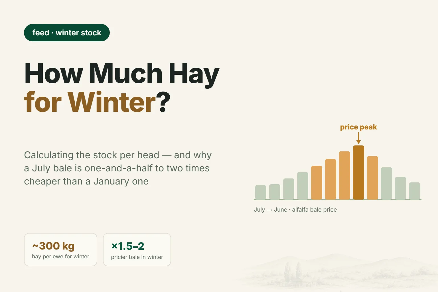 How Much Hay Does a Sheep Need for Winter: Calculating Your Stock and Why Buying in Summer Pays Off