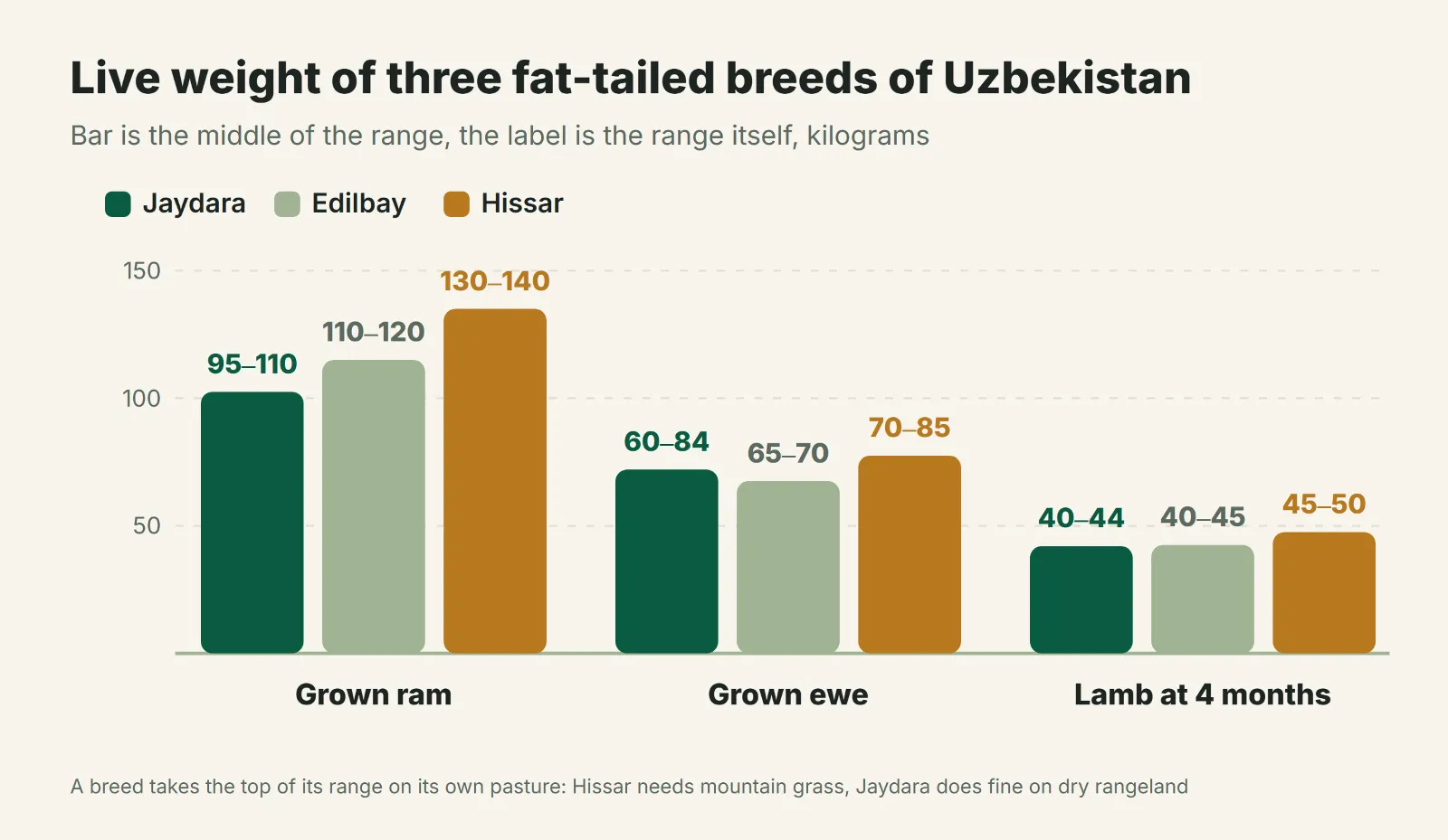 Breed comparison: live weight of Jaydara, Edilbay and Hissar sheep