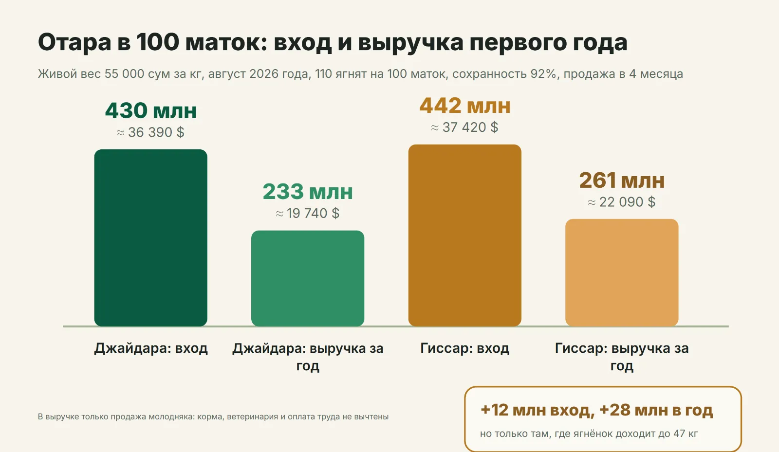 Вход в отару и выручка первого года: джайдара против гиссарской породы