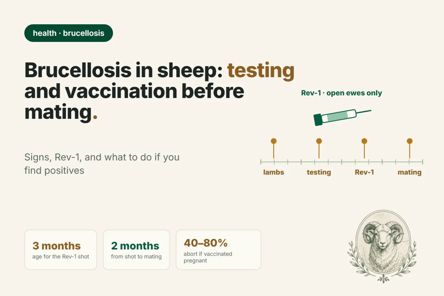 Brucellosis in Sheep: Signs, Blood Testing, and the Rev-1 Vaccine Before Mating