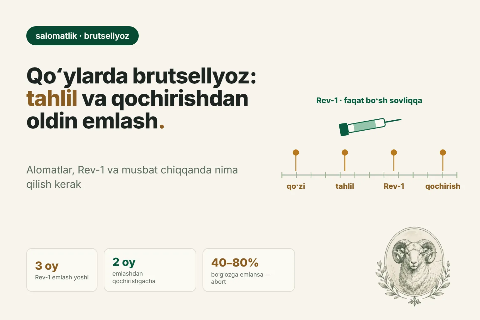 Qoʻyda brutsellyoz: belgilari, qon tahlili va qochirishdan oldin Rev-1 emi