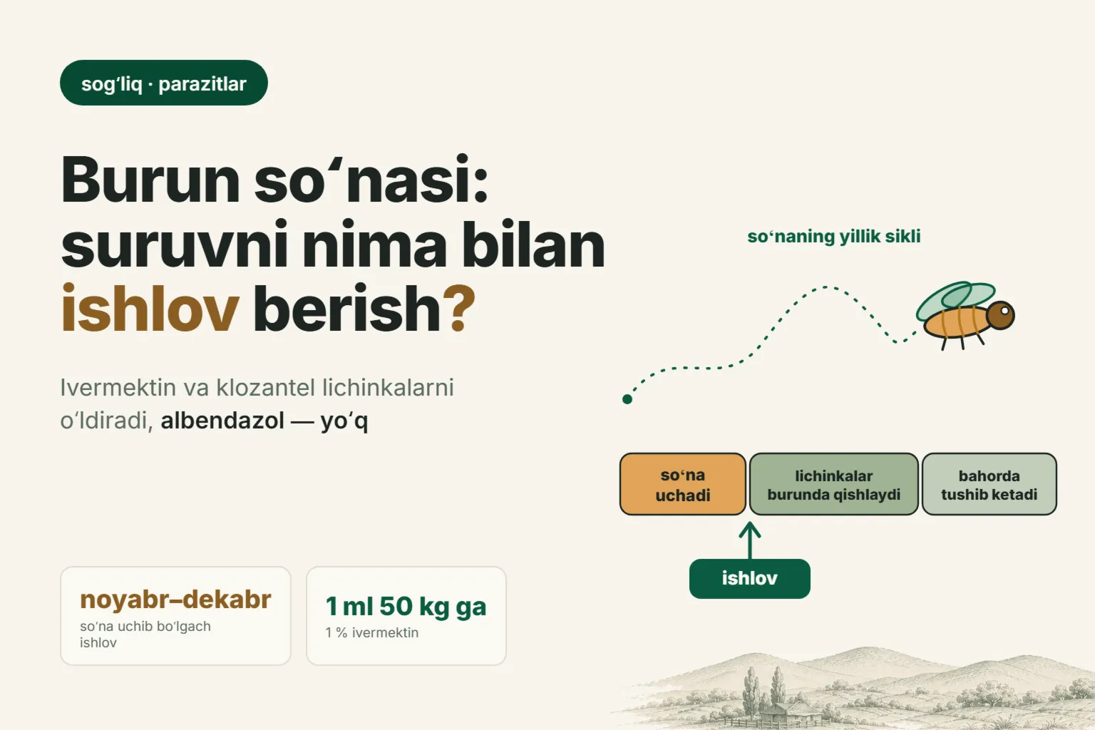 Qoʻylarda burun soʻnasi (estroz): nega qoʻylar aksa uradi, pnevmoniyadan qanday ajratish va suruvga nima bilan ishlov berish