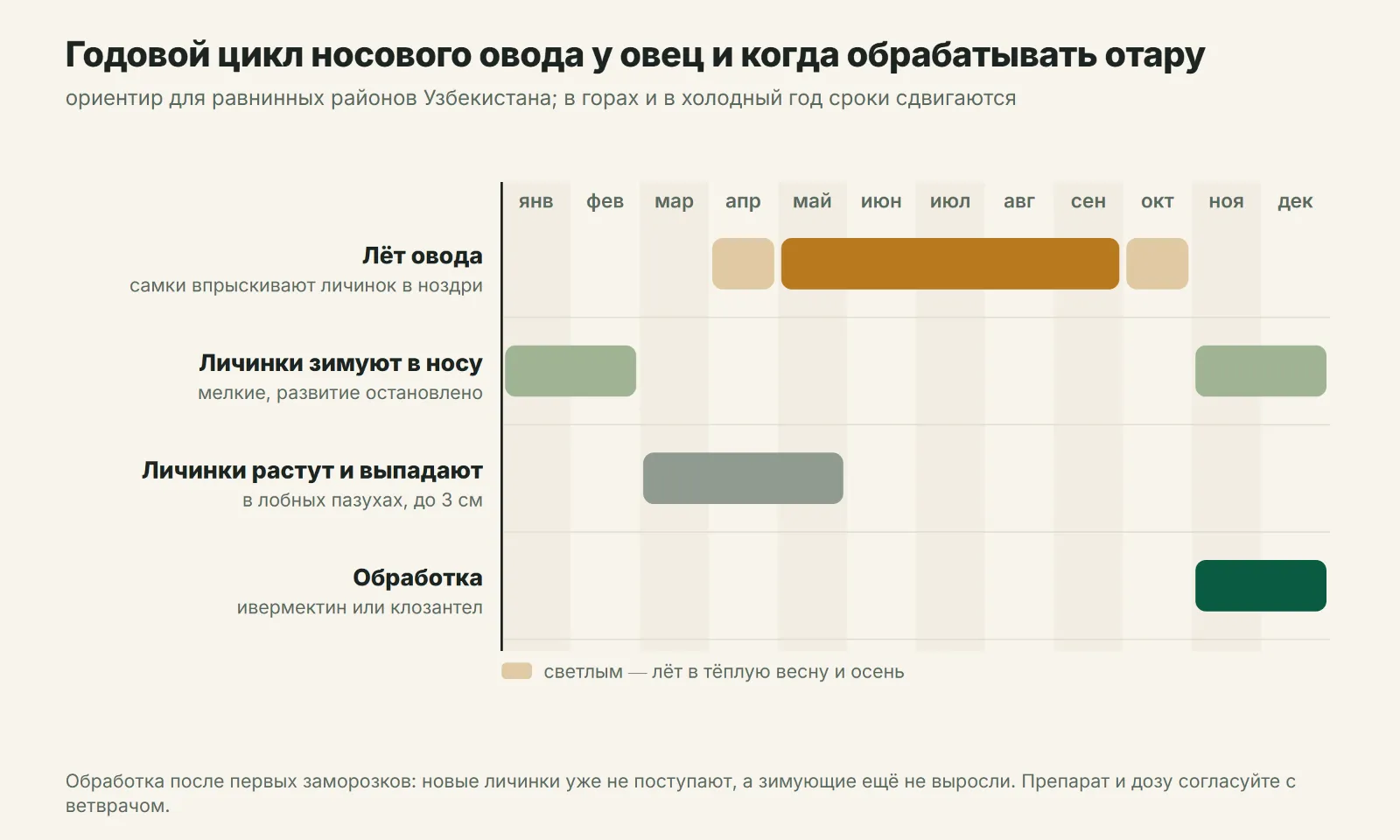 Годовой цикл носового овода у овец и окно обработки