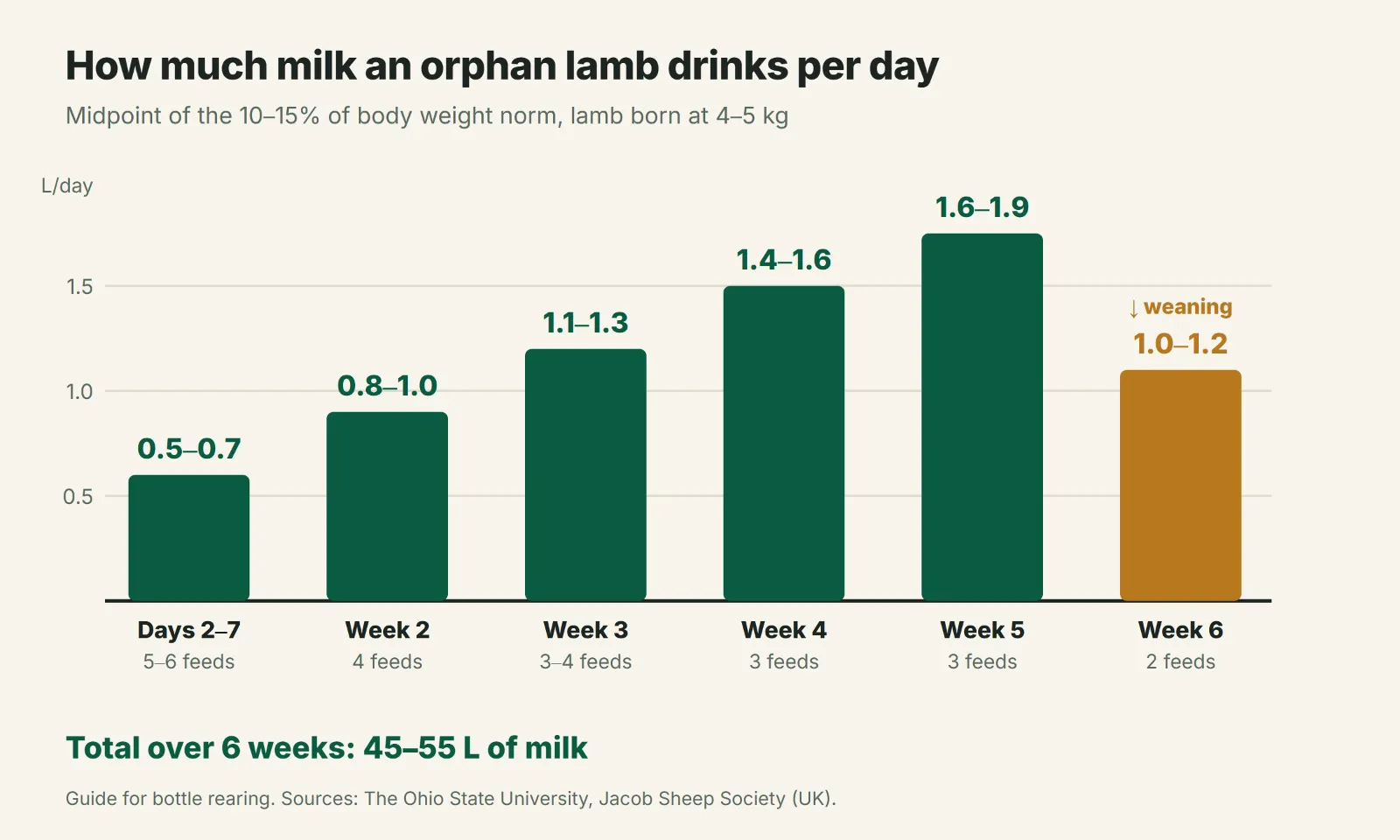 How much milk an orphan lamb drinks per day by week until weaning