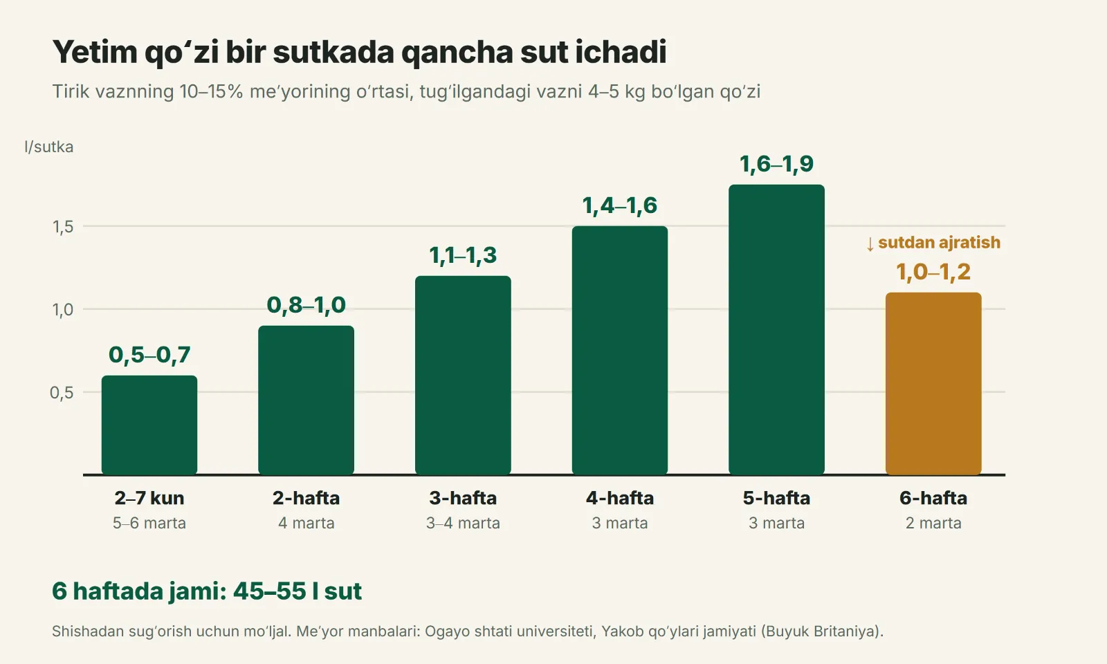Yetim qoʻzi sutdan ajratilguncha haftalar boʻyicha sutkasiga qancha sut ichadi