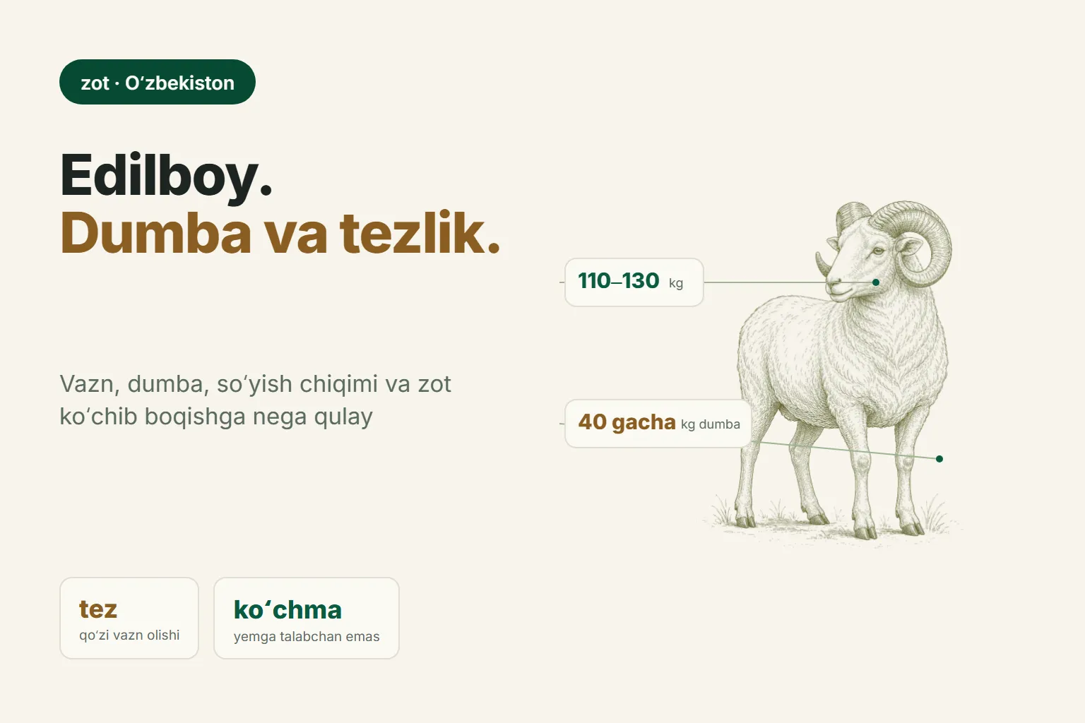 Edilbay qoʻy zoti: vazn, dumba, mahsuldorlik va narx
