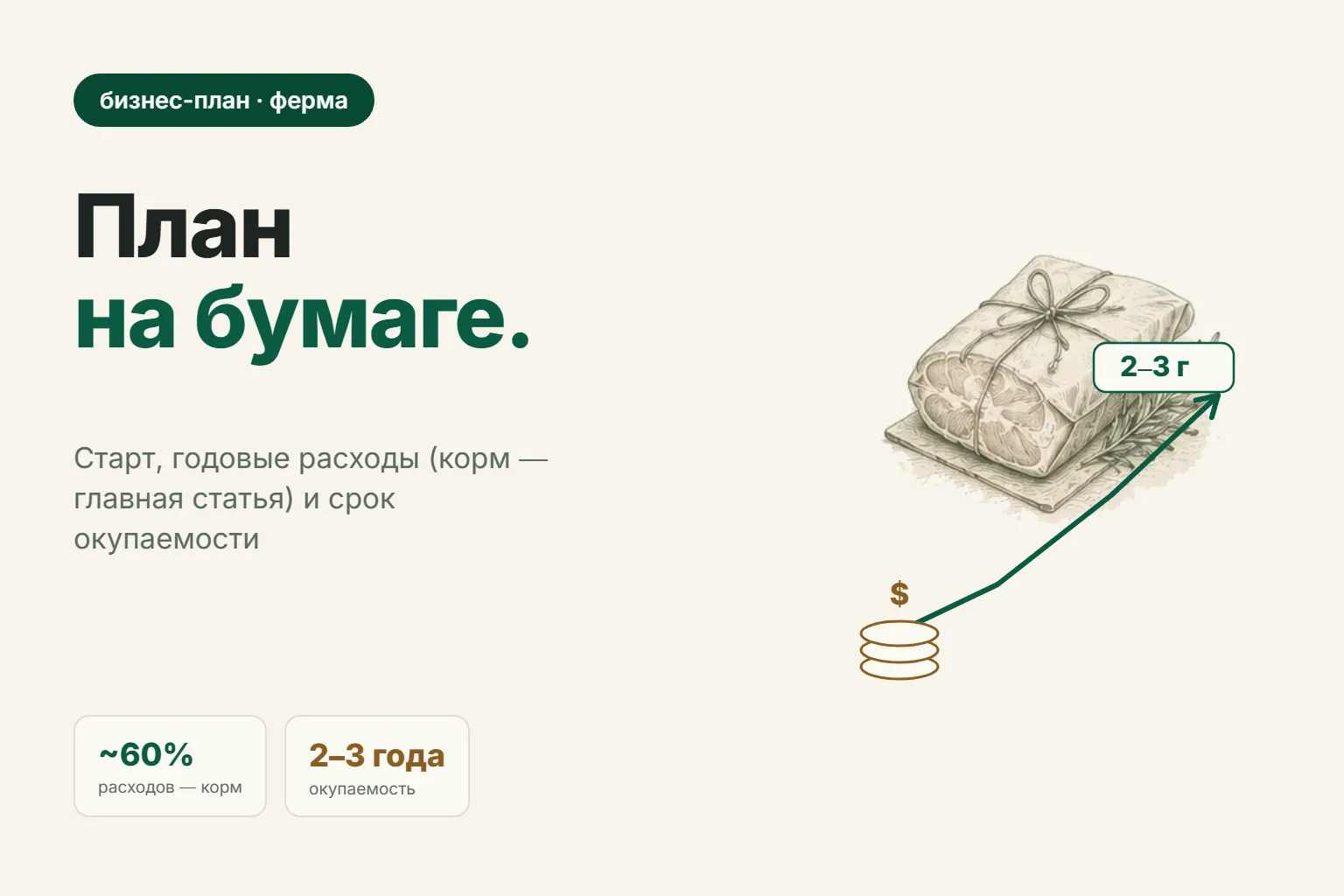 Бизнес-план овцефермы: стартовые затраты, расходы и окупаемость
