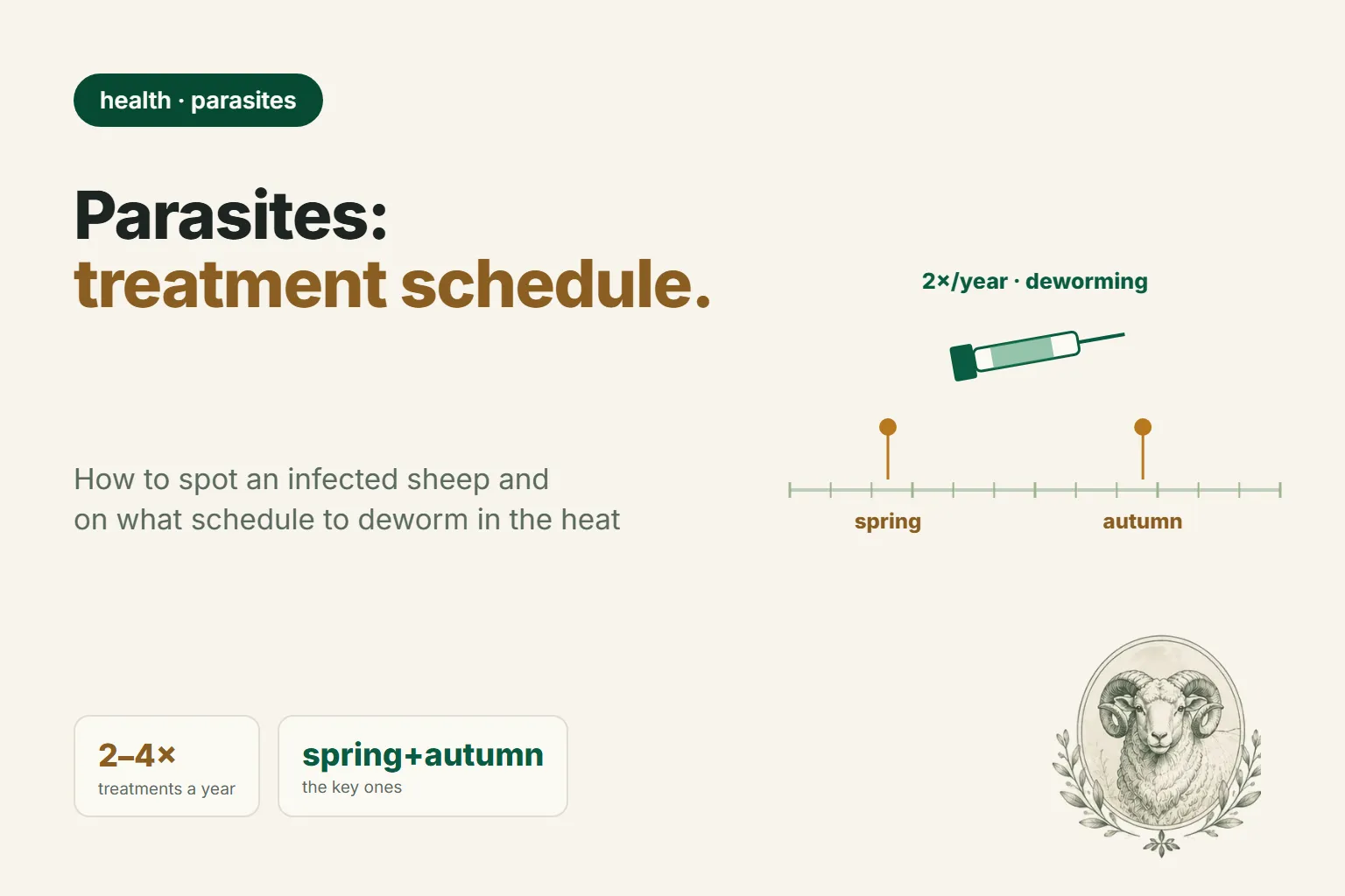 Worms and Parasites in Sheep: Signs, Deworming, and a Treatment Schedule