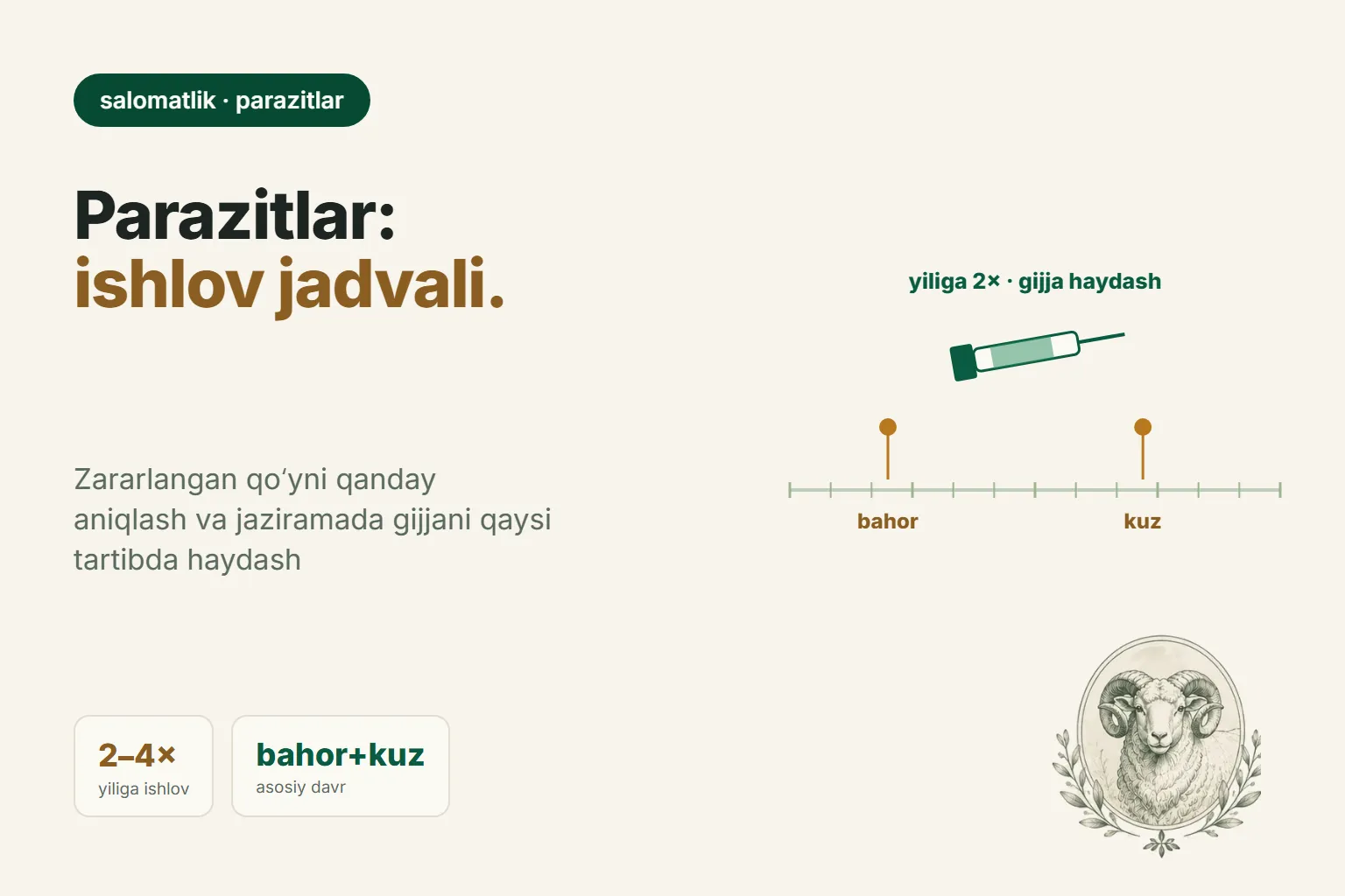 Qoʻylarda gijja va parazitlar: alomatlar, gijjaga qarshi dorilash va mavsumiy jadval