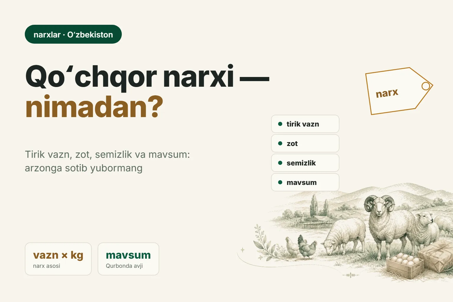Oʻzbekistonda qoʻy narxi: nimalarga bogʻliq va qanday qilib arzonga sotib qoʻymaslik kerak