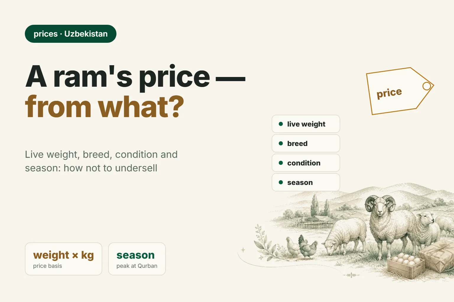 Ram Prices in Uzbekistan: What Drives Them and How Not to Undersell