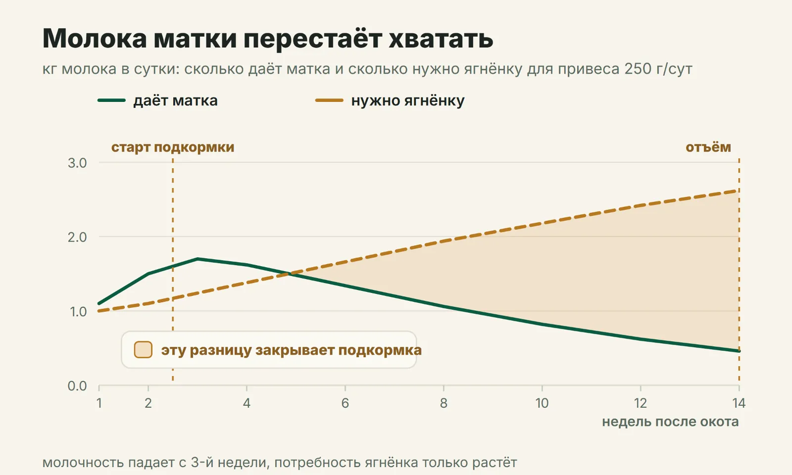 Молока матки перестаёт хватать