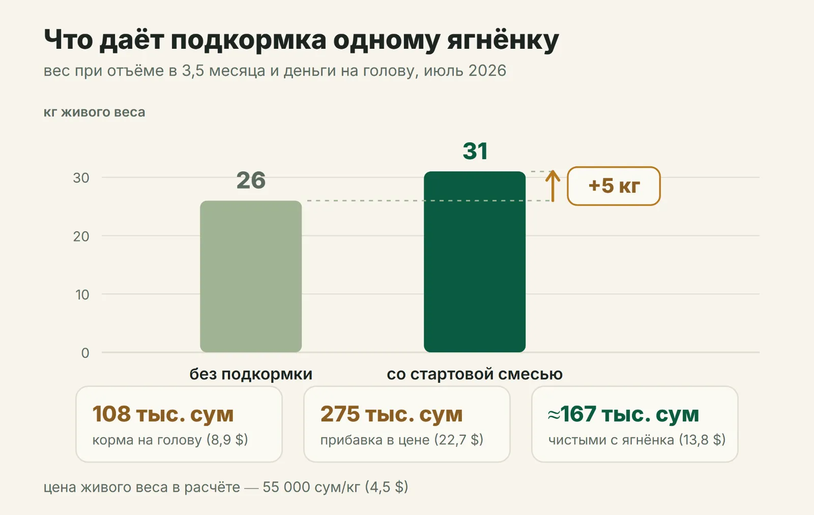Что даёт подкормка одному ягнёнку