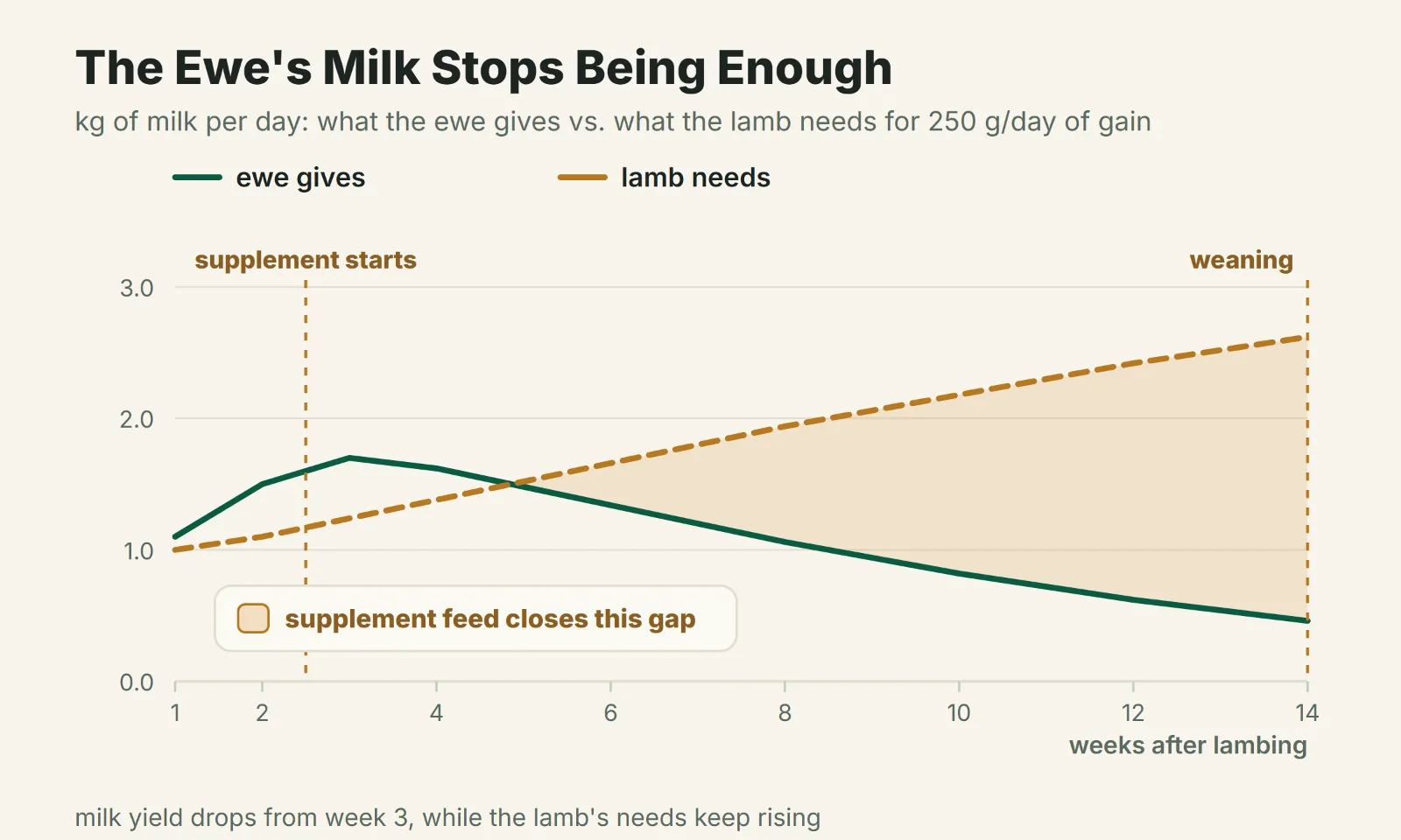 The Ewe's Milk Stops Being Enough